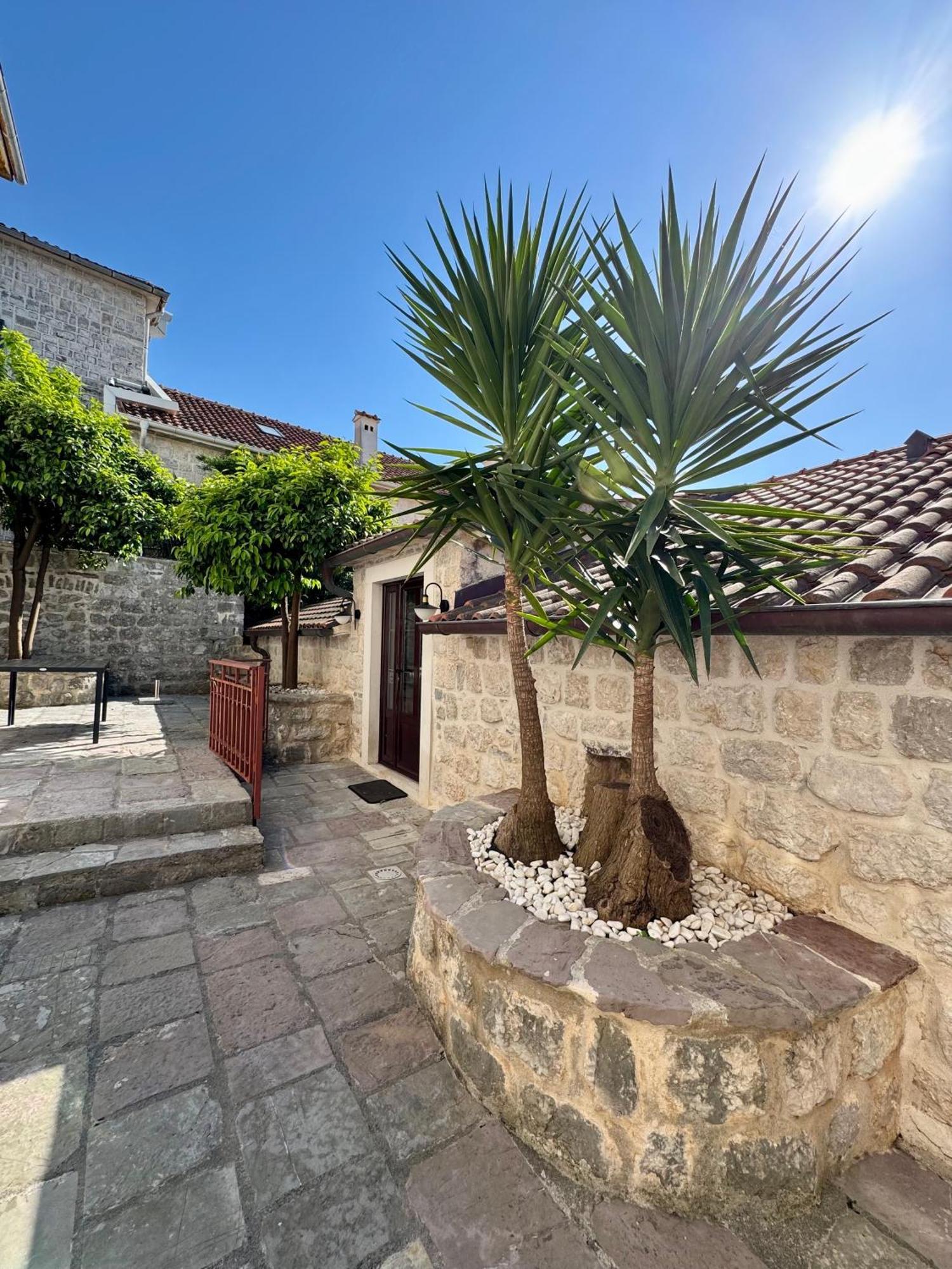 Apartments Radonicic Kotor Exterior foto