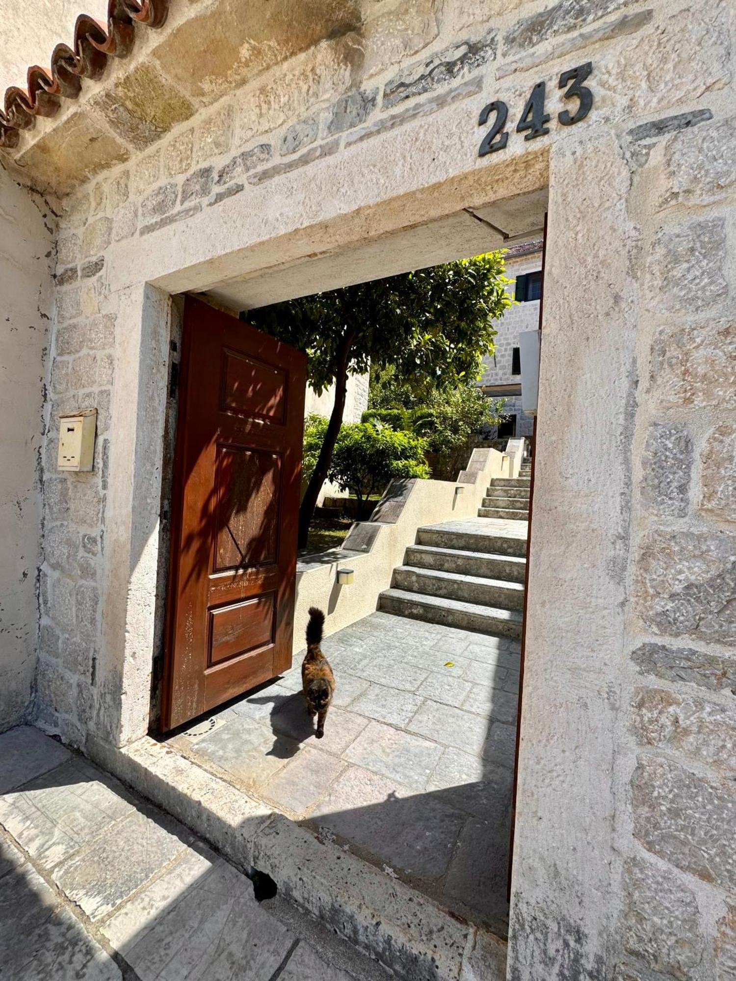 Apartments Radonicic Kotor Exterior foto